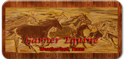 Garner Equine